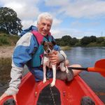 David Snelgrove - @snelgrovedavid - Instagram