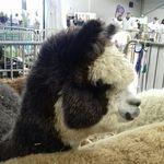 David Snell - @david.snell.9 - Instagram