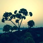 David Snook - @novaskiddo - Instagram