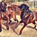 David Snook - Facebook