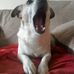 David Joseph Snowball - Facebook