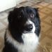 David Snowball - Facebook