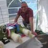 David Snowball - @david.snowball2 - TikTok