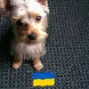 David Snowden - @david.snowden5 - TikTok