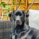 David Snowdon - @david_snowdon - Instagram
