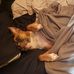 David Snyman - Facebook