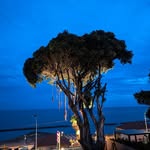 David Šobáň - @jeffsobis - Instagram