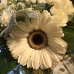 Davi Sobotta - @davisobotta - Instagram