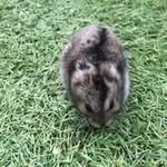 David Soliman - @davidsoliman18 - Instagram