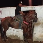 david solon - @solon_david - Instagram