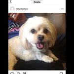 David Solow - @davidsolow - Instagram