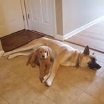 David Soltis - @soltisdavid - Instagram