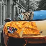 David Sony - @david.sony.9026 - Instagram