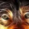 David Sorto - @david.sorto00 - TikTok