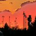 David Sosnowski - Facebook