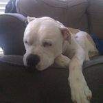 david Southwick - @quietjokester3200 - Instagram
