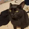davidspakattack - @davidspakattack - TikTok