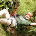 David Spall - Facebook