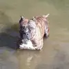davidspalletta - @davidspalletta - TikTok