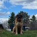 David Spaulding - Facebook