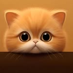David speaker - @davidspeaker - Instagram