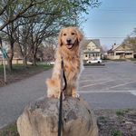 david speakman - @speakmandavid426 - Instagram