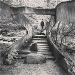 David Speck - @davidspeck2002 - Instagram