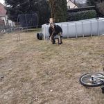 David Spies - @percht_ds - Instagram