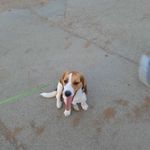 David spies - @david_der_kuhle_junge - Instagram
