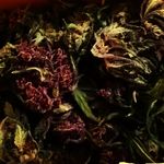 David Sporer - @sporeefer - Instagram