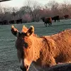 david - @david.spratley - TikTok