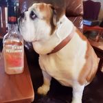 David Spratley - @david.spratley.90 - Instagram