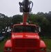 Spriggs Tree Corp - Facebook