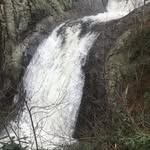 David Springs - @lincolncountydave - Instagram