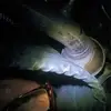 David Springs - @david.springs6 - TikTok