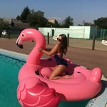 @david_springsgut_h - Instagram