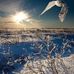 David Sprouse - Facebook