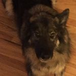 David Spruill - @davidspruill123 - Instagram