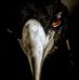 David Stacey - Facebook