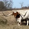 Doug Stallbaumer - @dastallbaumer - TikTok