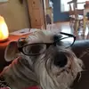 David Stanek385 - @davidstanek7 - TikTok