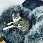 David Staňek - @stanek648 - Instagram