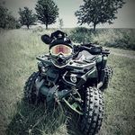 David Staněk - @stanek8641 - Instagram