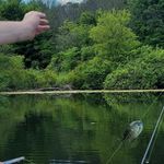 David Stange - @david.stange.56 - Instagram