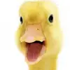 david starbuck687 - @davidstarbuck4 - TikTok