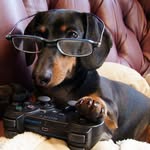 David Starcher - @starcher.david - Instagram