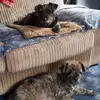 David Starkey9886 - @david.starkey9886 - TikTok