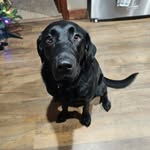 David Starkweather - @starky6651 - Instagram