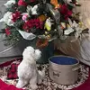 David Staub526 - @davidstaub526 - TikTok