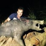 david stead - @stead.david - Instagram